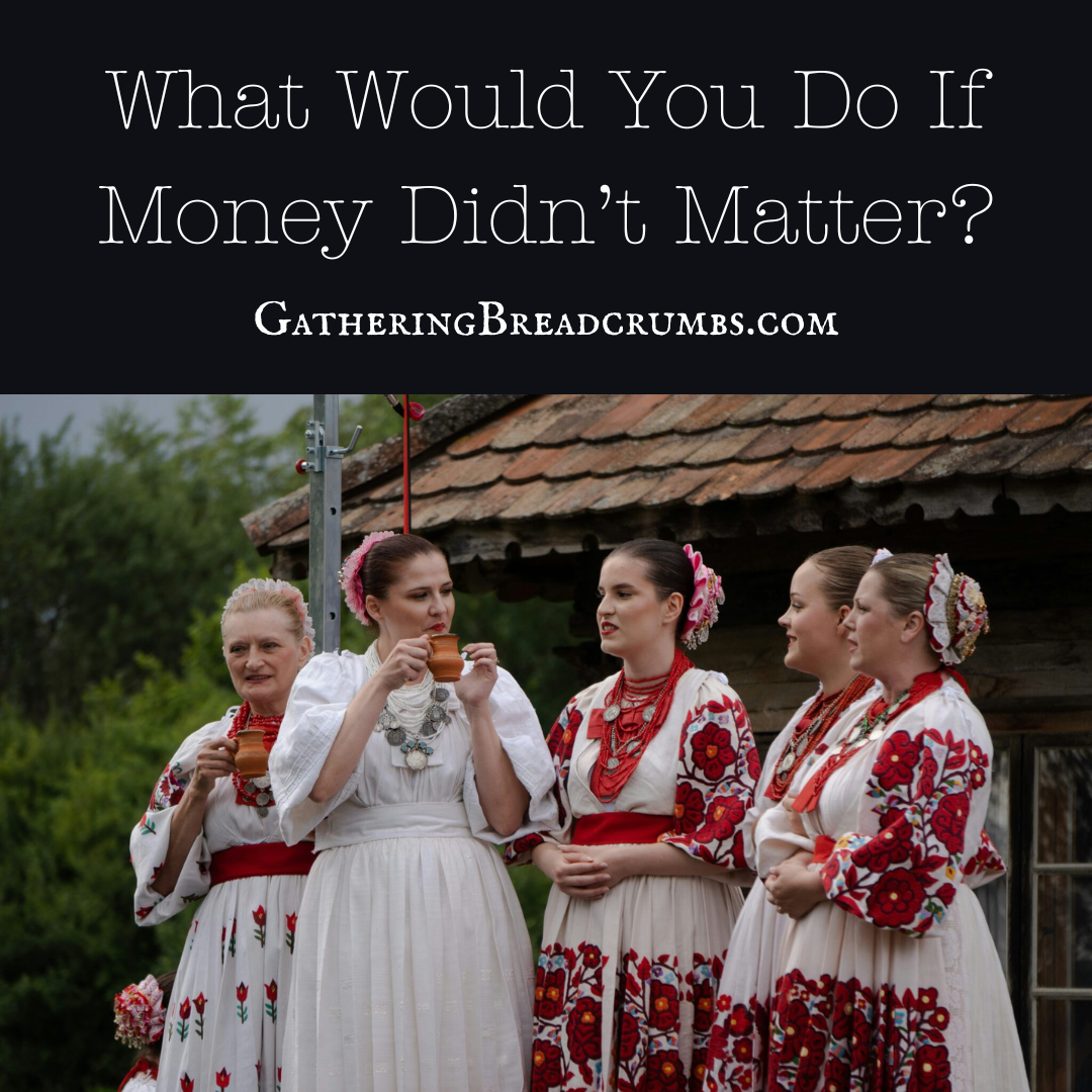 What Would You Do If Money Didn’t Matter?
