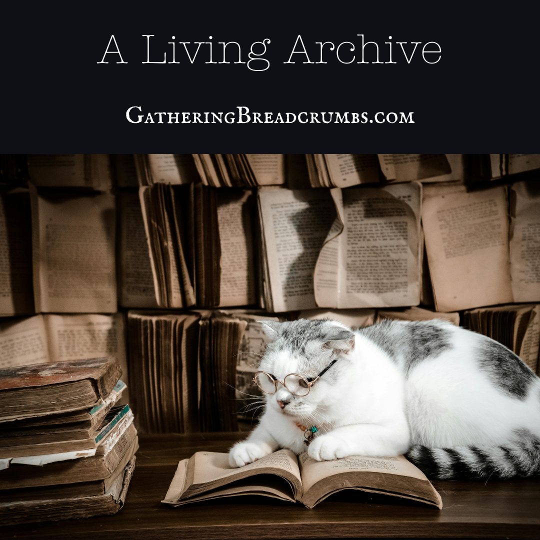 A Living Archive