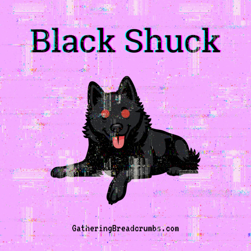 Black Shuck